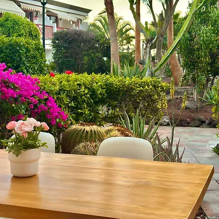 Casa Heidi Apartment Playa Del Cura (Gran Canaria)